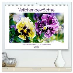 Veilchengewächse - Stiefmütterchen und Hornveilchen (hochwertiger Premium Wandkalender 2025 DIN A2 quer), Kunstdruck in Hochglanz: Fröhlich bunte Blütenporträts
