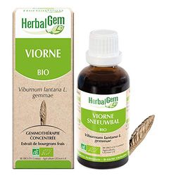 HERBALGEM - Macérât-Mère - Viorne Bio - Complément Alimentaire Gemmothérapie Concentrée - Extrait De Bourgeon Frais - Pour Voies Respiratoires - Vegan - 30 ml