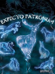 Harry Potter Patronus 60 x 80cm Canvas Print, katoenmix, meerkleurig, 60 x 80 cm