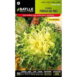 Semillas Batlle – Scarole Perruque du Prat - Boucles