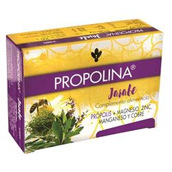 Artesania Propolina 20Sbrs. 50 g