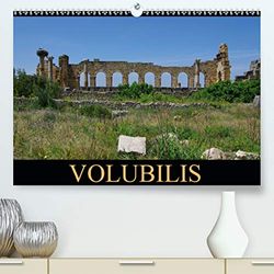 Volubilis(premium, hochwertiger din a2 wandkalender 2020, kunstdruck in hochglanz) - la cite antique (Calvendo Places)