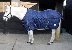 Rhinegold Unisex's C631-6/0-NY Chicago Stable Quilt, Navy, 6'0"