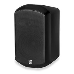 ic audio MS 30-130 Speaker - Compact Monitor Speaker for Voice and Music, Easy Wall Mounting, 30 Watt Speaker, Ideal for Indoor Use - Black