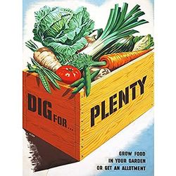 Le Bon Dig Plenty Vegetables UK WWII Food Advert Unframed Wall Art Print Poster Home Decor Premium