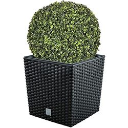 WellHome Bloempot Set Rato 32 liter met plantenbak in antraciet 32 x 32 x 32,5 cm + buxusbal Ø 36 cm