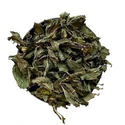 Tisane Menthe poivrée feuille 1 KILO Mentha piperita