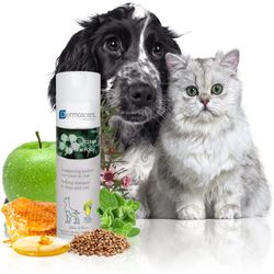 Shampooing Dermoscent PYOclean pour chiens et chats - Formule sensible anti-démangeaisons pour contrôler les infections cutanées et les symptômes d'allergie - 200 ml