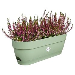 Elho Vibia Campana Balconnière 50 - Planteur pour Balcon - Ø 49.0 x H 17.0 cm - Vert/Vert Pistache