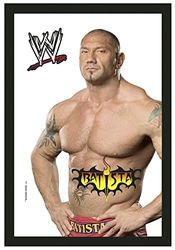 Close Up WWE Spiegel Batista (20cm x 30cm)