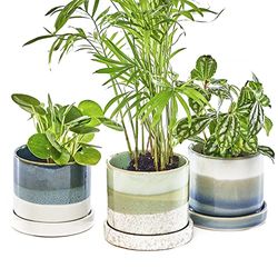 Chive Vasi per piante in ceramica 'Minute' - Carini, bellissimi vasi per fiori e piante da appartamento per interni ed esterni - Set di 3 - Verde e Blu