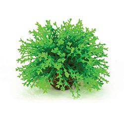 biOrb Boule florale verte
