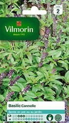 Vilmorin 5872246 Pack de Graines Basilic Cannelle