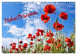 Mohnträume (Wandkalender 2024 DIN A4 quer), CALVENDO Monatskalender: Traumhafte Bilder vom Mohn in allen Farben