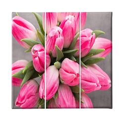 Homemania Wandfoto, 3-delig, natuur, voor woonkamer, slaapkamer, meerkleurig, 69 x 3 x 50 cm, HM203PKNV-25, polyester, hout