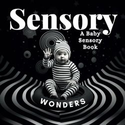 Sensory Wonders: A Baby Sensory Book