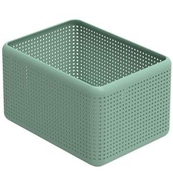 Rotho Madei Boîte de rangement 13l, Plastique (PP) sans BPA, vert, 13l (32.6 x 23.8 x 18.8 cm)