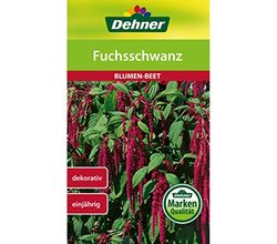 Dehner Zaad voor bloemen, vossenstaart, 5-pack (5 x 1,2 g)