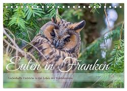 Eulen in Franken (Tischkalender 2024 DIN A5 quer), CALVENDO Monatskalender: Als leidenschaftliche Tierfotografin freue ich mich, allen Eulenfreunden, ... das Leben der Waldohreulen geben zu dürfen.