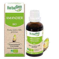 HERBALGEM - Macérât-Mère - Amandier Bio - Complément Alimentaire Gemmothérapie Concentrée - Extrait De Bourgeon Frais - Vegan - 30 mL
