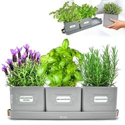 Green Thumbz Kruidenpotjes, Kruidenpotten met leren handgrepen - IIdeaal voor Bloempotten, Kruidentuin en Specerijen - Plantenpotten voor keuken vensterbank - dienblad inbegrepen (Charcoal Grey)