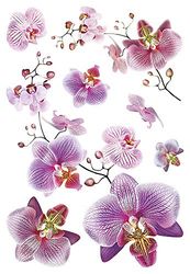 AG Design SM 3440 Mural Adhesive Disney, Autocollant, Sticker décoratif, Colorful, 42,5 x 65 cm