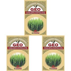 Geo Graine à Germer Blè Dur Brun 12,7 x 0,7 x 20 cm (Lot de 3)