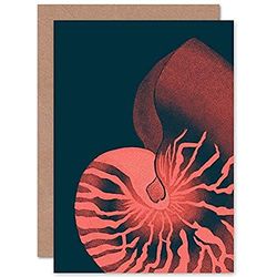 Wee Blue Coo Pink Seashell Nautilus Greeting Card With Envelope Inside Premium Quality Rosado