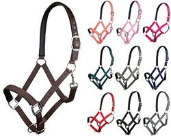 HKM Charming B2400 Licol Marron