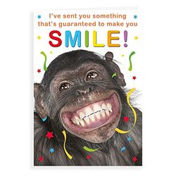 Regal Publishing Humour Funny Birthday Card Chimp smile - 7 x 5 inches