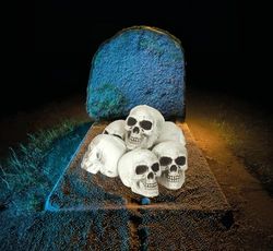 FIESTAS GUIRCA | Pack of 6 Skulls (8 cm) - Halloween Decoration for Skeleton Parties and Celebrations - Ideal for Spooky Environments and Scary Settings - White