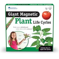 Learning Resources Ciclo di vita di una pianta magnetico gigante