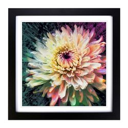 Chrysanthemum Glitch Art No.4 Framed Wall Art Print, Ready to Hang Picture for Living Room Bedroom Home Office, Black 18 x 18 Inch (45 x 45 cm)