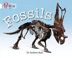 Fossils: Band 10/White