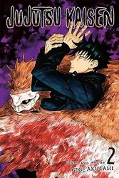 Jujutsu Kaisen, Vol. 2: Fearsome Womb (English Edition)