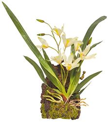 Lucky Reptile IF-16 hangorchidee kunststof plant/plastic plant om op te hangen, wit