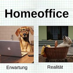 Home-Office: Erwartung - Realität