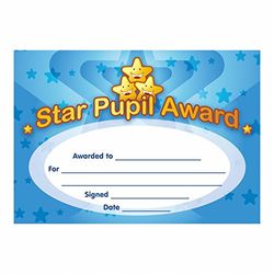 School Stickers A5 Star Pupil Award Praise Certificates