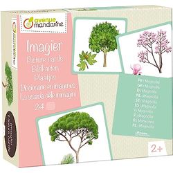 Avenue Mandarine JE525C - Une boite imagiers 24 cartes multilingues (traduction en 10 langues) 11,5x12,7 cm, Arbres
