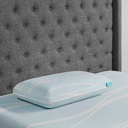 TEMPUR-PEDIC Kudde, minnesskum, vit, drottning (paket med 1)