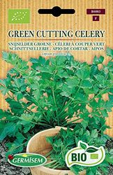 Germisem Bio Graines Céleri à couper Vert GREEN CUTTING CELERY