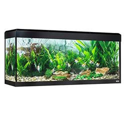 Kit Acuario con iluminación LED Bluetooth Fluval Roma, 240 l, Negro