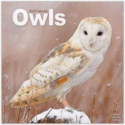 Owls 2024 Calendar