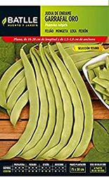 Semillas Batlle 020516K5 Judia Garrafal Oro S. Tesoro, Verde, 25x11x53 cm