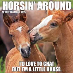 Horsin’ Around 2025 Wall