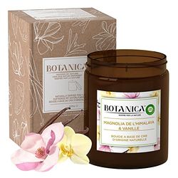 Airwick Vela aromática grande botânica, de origem natural, magnólia e baunilha dos Himalaias, até 90 horas, transparente