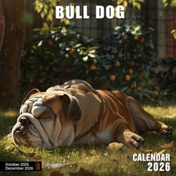 Bull Dog Calendar 2026: Wrinkly Friends Full of Charm and Personality