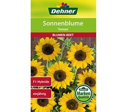 Dehner - Sementi per Fiori, Girasole Soraya, Confezione da 5 (5 x 6 g)