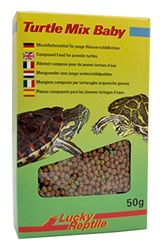 Lucky Reptile Turtle Mix