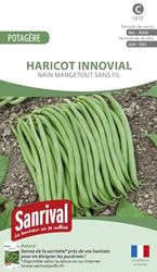 Sanrival Haricot mangetout innovial
